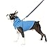 Gooby Fleece Vest Hoodie Dog Sweater - Blue, Medium - Warm Pullover Dog Hoodie with O-Ring Leash for Small to Medium Dogs