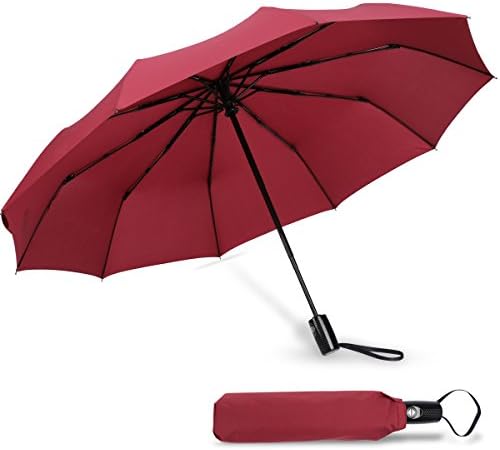 Umbrella Windproof-10 Fiberglass Ribs Travel Umbrella-Auto Open &Close 210T Canopy Compact Umbrella-Durable and Stylish Waterproof Umbrella