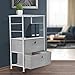 Sorbus Nightstand 2-Drawer Shelf Storage - Bedside Furniture & End Table Chest Dresser with Steel Frame, Wood Top & Easy Pull Fabric Bins for Home, Bedroom, Closets, Bathroom, Office & College Dorm