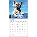 2020 French Bulldog Puppies Wall Calendar by Bright Day, 16 Month 12 x 12 Inch, Cute Dogs Animals Frenchies Canine