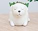 Youfui Cute Dog Flowerpot Resin Succulent Planter Desk Mini Ornament (Labrador)
