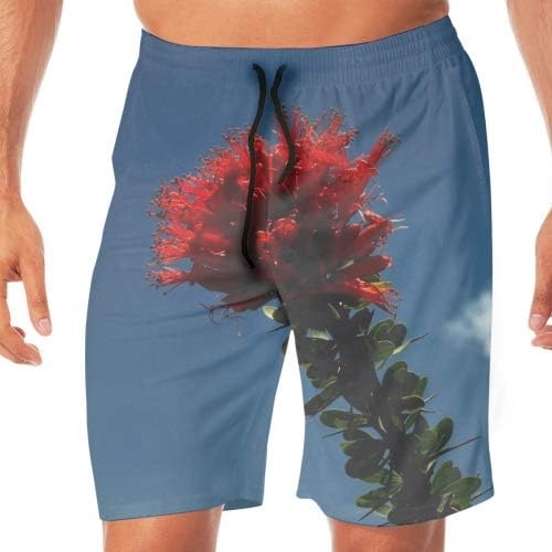 Amazon 花赤明るい茎空雲水着 メンズ サーフパンツ 海パン ボートショーツ 水着 通販