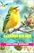 Livro O Canário Melodia