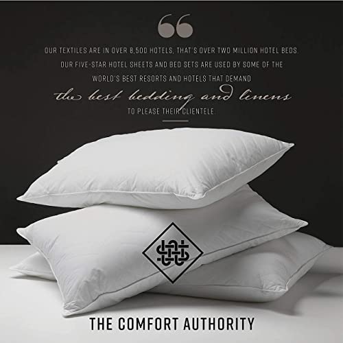 Sobel Westex Sahara Nights Back and Stomach Sleeper Pillow Hotel