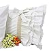 Queen's House Pillow Shams Queen Size Set of 2-B