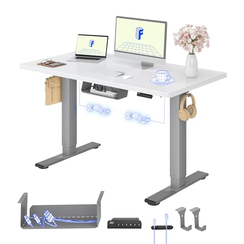 FLEXISPOT Höhenverstellbarer Schreibtisch elektrisch, Doppelmotor 120x60 cm