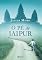 Livro O pé de Jaipur