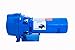 GOULDS PUMPS GT15 IRRI-Gator Self-Priming Single Phase Centrifugal Pump, 1.5 hp, Blue