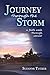 Journey Through the Storm: A Faith Walk Through Cancer by Suzanne Tucker