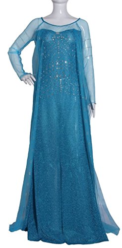 Eyekepper Cosply Snow Queen Elsa Dress Costume Adult