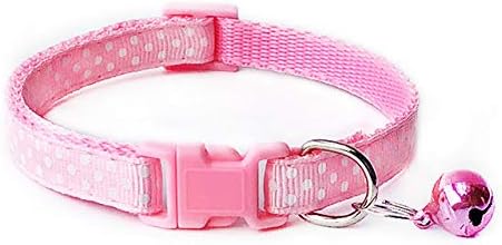 dog collar buckles wholesale