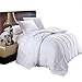 Royal Hotel Bedding White Down Alternative King Comforter with Corner Tabs - Hypoallergenic All-Season Plush Hotel Style Comforter, Duvet Insert Oversized King 110x98
