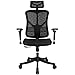 Argomax Ergonomic Mesh Office Chair High Back Swivel Desk Chair Adjustable Headrest Armrest Tilt Back and Tension
