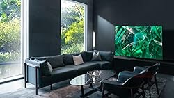 SAMSUNG 77-Inch Class OLED 4K S95C Series Quantum