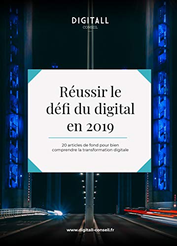 Réussir le défi du digital en 2019: 300 pages pour tout comprendre de la transformation digitale des entreprises (French Edition) by Sandrine Hirigoyen