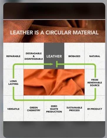 A+ Vegetable-Tanned Whole Grain INDIAN BOVINE | Thickness 0.8-1.0MM Thin Firm Temper Soft Leather |Size 8