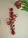 10 Pcs Clear Gumball Tubes - Fits Jumbo 1