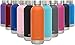 Simple Modern Autumn Bolt Water Bottle - Vacuum Insulated Narrow Mouth 18/8 Stainless Steel Thermos Travel Mug - Double Walled Flask with Insulated Lid - Powder Coated Hydro Canteen -