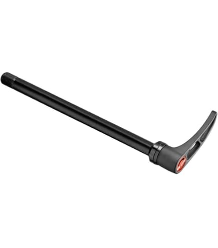 Amazon.com: DT Swiss RWS Plug in Front Road 12x100mm Thru