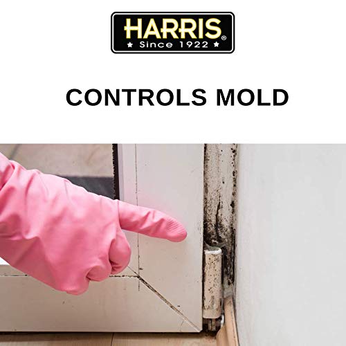 6 Termite+Treatment+Preventing+Controlling+Termites