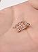 Frienda 6 Pieces 20G Stainless Steel Rose Ball Round Diamond CZ Nose Stud Rings L Shaped Labret Bone Body Piercing Jewelry (Rose Gold)