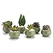 T4U Small Green Ceramic Succulent Planter Pots with Drainage Hole Set of 6, Spring Glaze Porcelain Handicraft Plant Holder as Gift for Mom Sister Daughter for Home Office Garden Desktop Decoration