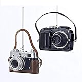 Camera Ornaments, 2 Assorted