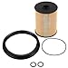 Fuel Filter Kit for 2002-2008 Mini Cooper Fuel Filter with O-Rings In-Tank 16146757196