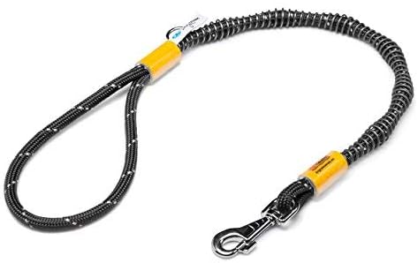 Idealeash Urban Walk - Medium and Large breeds - Bite/chew proof, shock absorbing leash, fully reflective + Made in EU … (Large, Black)