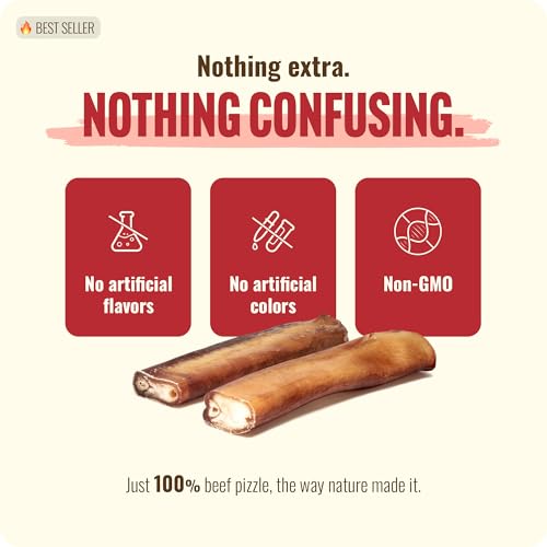 Natural Farm Extra-Thick 12-Inch Beef Bully Sticks Dog Chews (10-Pack) - Odor-Free Dental Treats for Dogs