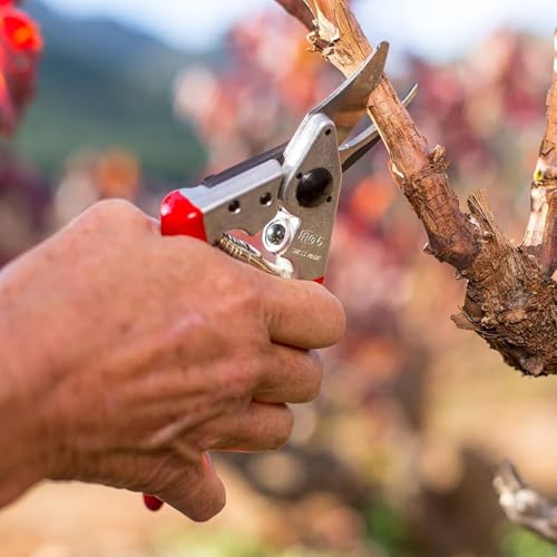 FELCO 6 kompakte Bypass-Baum-, Reb- und Gartenschere für mittelgroße Hände, für Rechtshänder, gehärtete Stahlklinge, Griff aus geschmiedetem Aluminium, ergonomischer Schneidkopf, Swiss Made Qualität 3