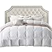 Luxurious 800 Thread Count Hungarian Goose Down Comforter Duvet Insert - Full/Queen Size, 750 Fill Power, 50 oz Fill Weight, 100% Egyptian Cotton Cover