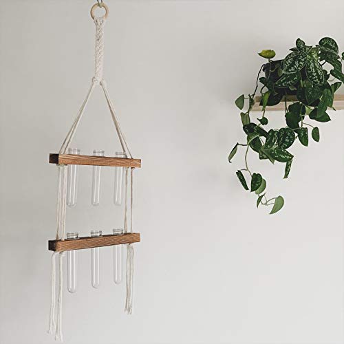 OrganicSun Wall Hanging Plant Propagation Station Macrame Wooden Wall