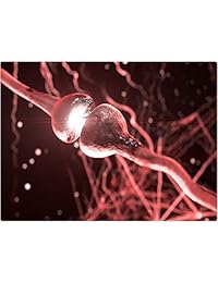 ISO BRAIN ayuda a soportar la memoria, el enfoque, la claridad, la energía y el estado de ánimo., 120