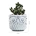 SUN-E 2.75 Inch Ceramic Owl Pattern Succulent Cactus Plant Pots Flower Pots Planters Containers Window Boxes Bonsai Pots Perfect for Candle Holder with Small Hole 6 Colors in Set