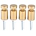 TOPNIKE Brass Flat Top Sign Standoffs, Standoff Holder Screw, 3/4