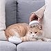 pidan Pet Brushes for Cats Pet Grooming Brush Cat Hair Brush for Shedding Silicone Material Professional Deshedding Tool for Short and Long Hair(Grooming Brush)