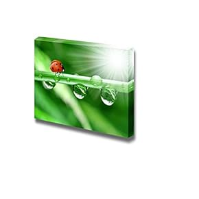 Fresh Grass with Dew and Ladybird Wall Decor