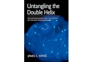 Untangling the Double Helix: DNA Entanglement and the Action of the DNA Topoisomerases