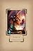Hearthstone Hardcover Ruled Journal (Insights Journals)