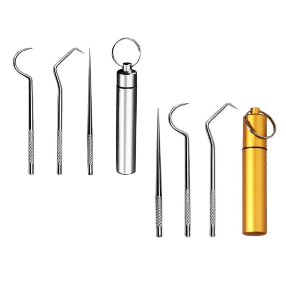 ZHIZICX 2 Set/ 6Pcs Pocket Toothpick Holder Keychain Toothpicks Set Titanium Toothpick Cleaning Tooth Hook Scraper Metal Toothpick Holder Dental Picks for Camping Picnic Outdoor