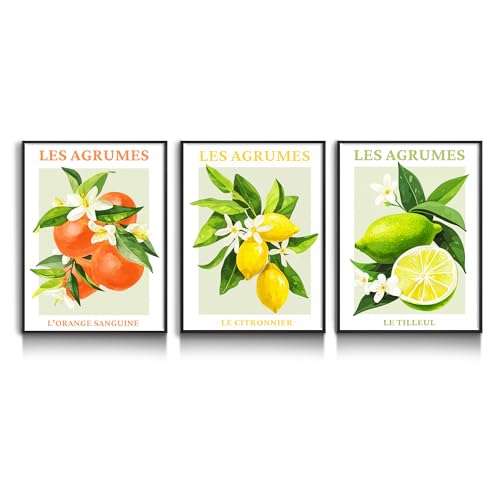 hyidecorart Black Frame Citrus Pictures Decoration Living Room Modern, Fruits Lemon Orange Blood Pictures Decoration Bedrooms Dining Room Office Hallway Kitchen and Bathroom