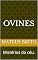 Livro Ovines: Mistérios do céu. (Visitantes estelares. Livro 1)