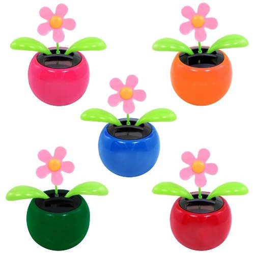 Solar Dancing Flower-Assorted Colors