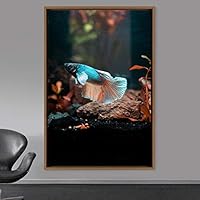 Framed Canvas Wall Art Fish Bedroom Colorful Jellyfish Marine Life Multicolor Neon Photography Tropical - 16x24 inches