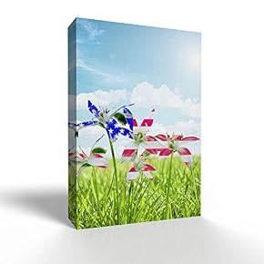 US Flag on Flower
