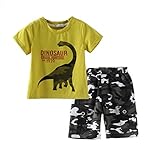 Little Boys' Camo Shorts Sets