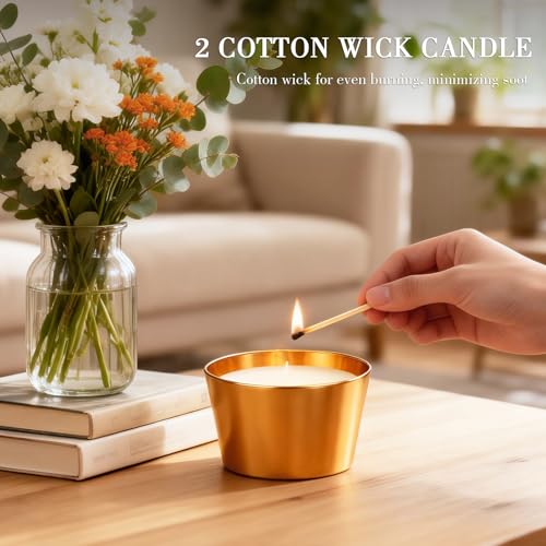 Citronella Candles Outdoor, 4 Pack Soy Wax Lemongrass Outdoor Candles, 240 Hours Burning Decorative Jar Scented Candle for Patio Garden Backyard Camping Summer,Emergency & Survival