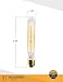 Edison light bulb – 6 Pack – The Longhorn - 40 Watt Bulb - Choose from many other designs. Inspired by Thomas Edison these incandescent filament style bulbs provide retro vintage light ambiance