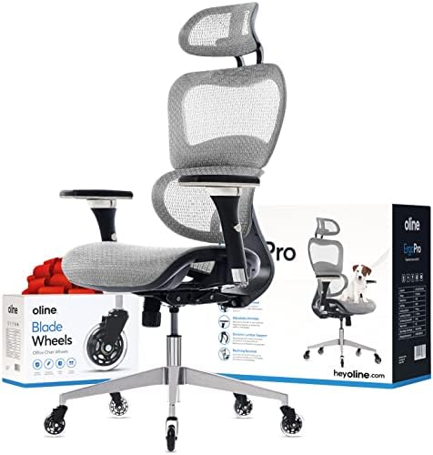 Oline ErgoPro Ergonomic Office Chair Rolling Desk Chair with 4D